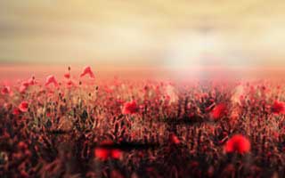 高赞评论说透了-针对蘑菇视频社区，别再被带节奏